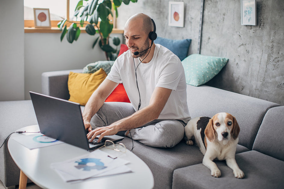 6 Clever Ways To Keep Your Dog Away From Your Work Desk