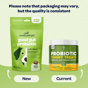 Good Gut Probiotic Chews