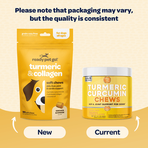 Turmeric & Collagen Chews